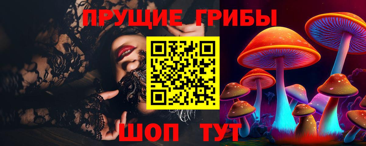 Псилоцибиновые грибы Magic Shrooms  Вход с VPN  Магадан  купить   Галлюциногенные грибы Psilocybe 
