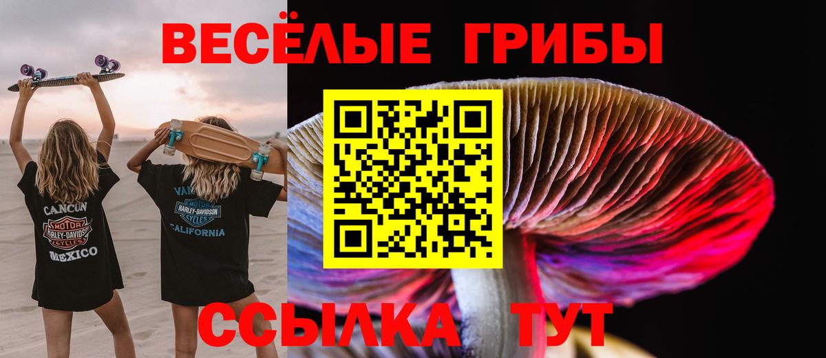 Псилоцибиновые грибы мухоморы Магадан