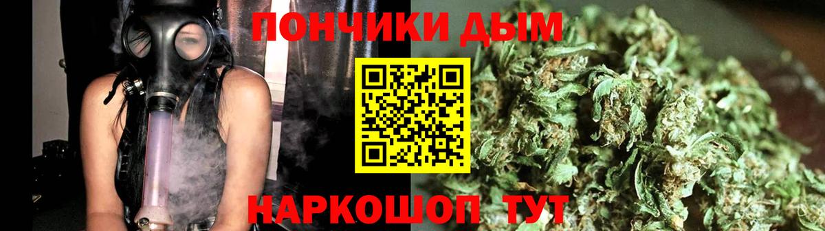Бошки марихуана Amnesia Магадан